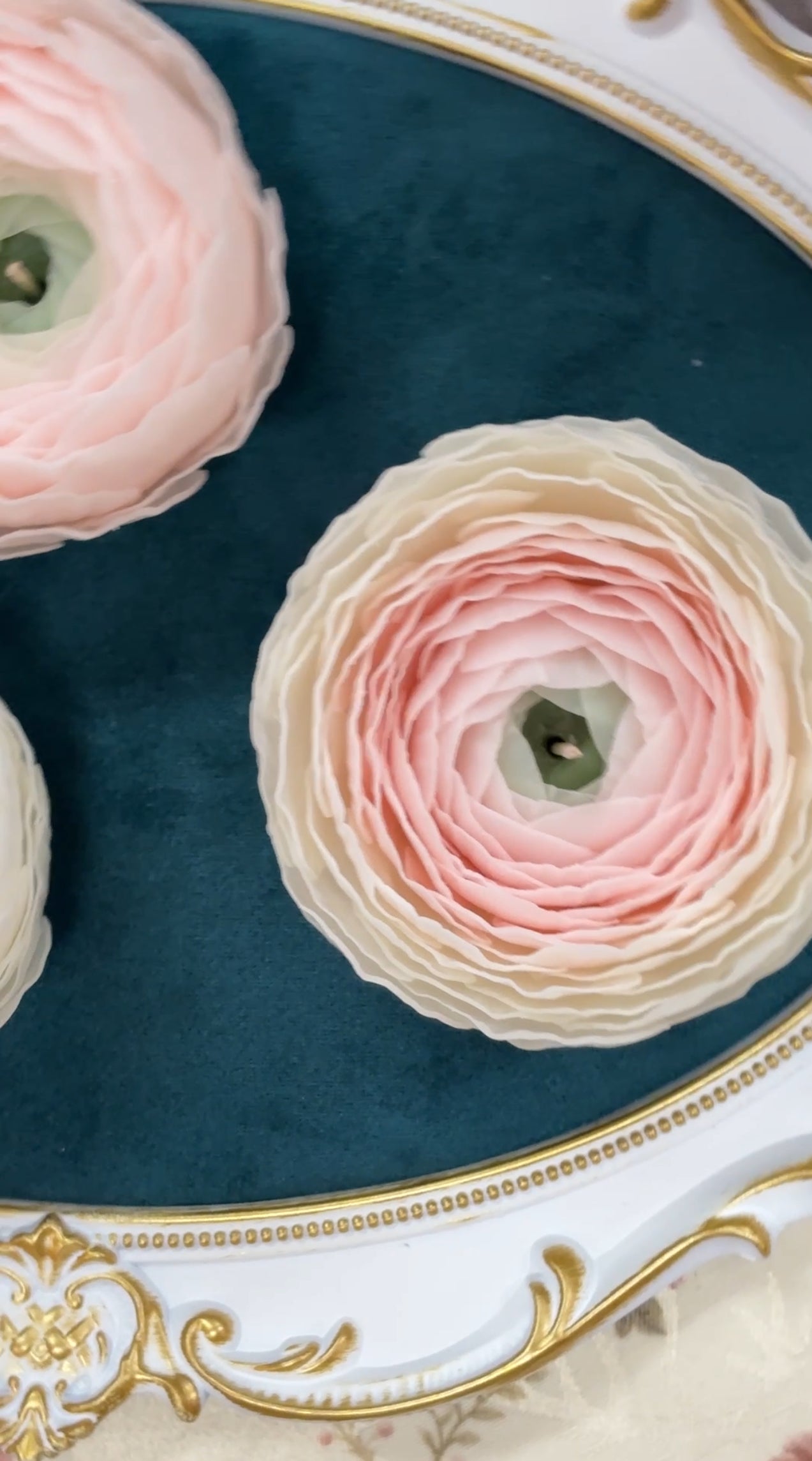 Pre-made candle - Ranunculus candle white/pink unscented