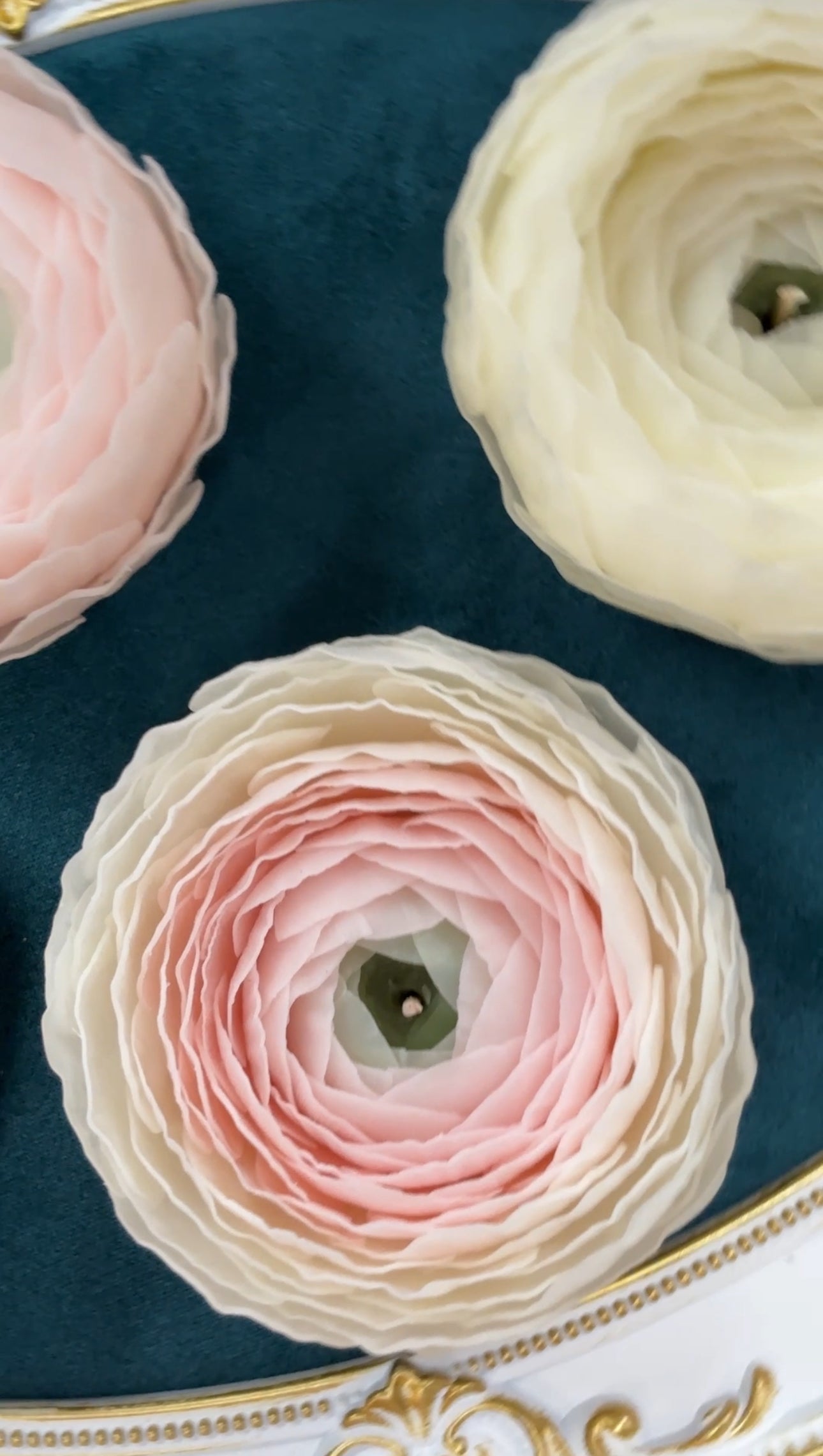 Pre-made candle - Ranunculus candle white/pink unscented